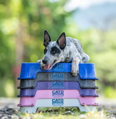 Cato Hundetræningsplatform - Image 3
