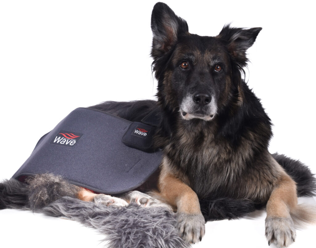 Wave RLT Pad G3 - Medium