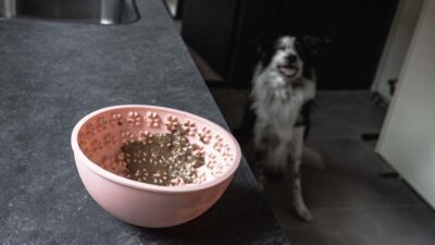 Eat Slow - Lick Mat vippe skål - Image 6