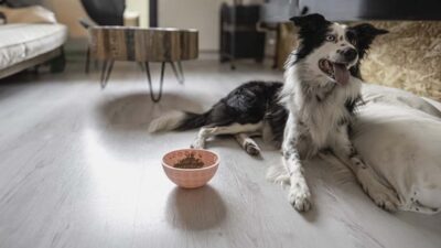 Eat Slow - Lick Mat vippe skål - Image 5